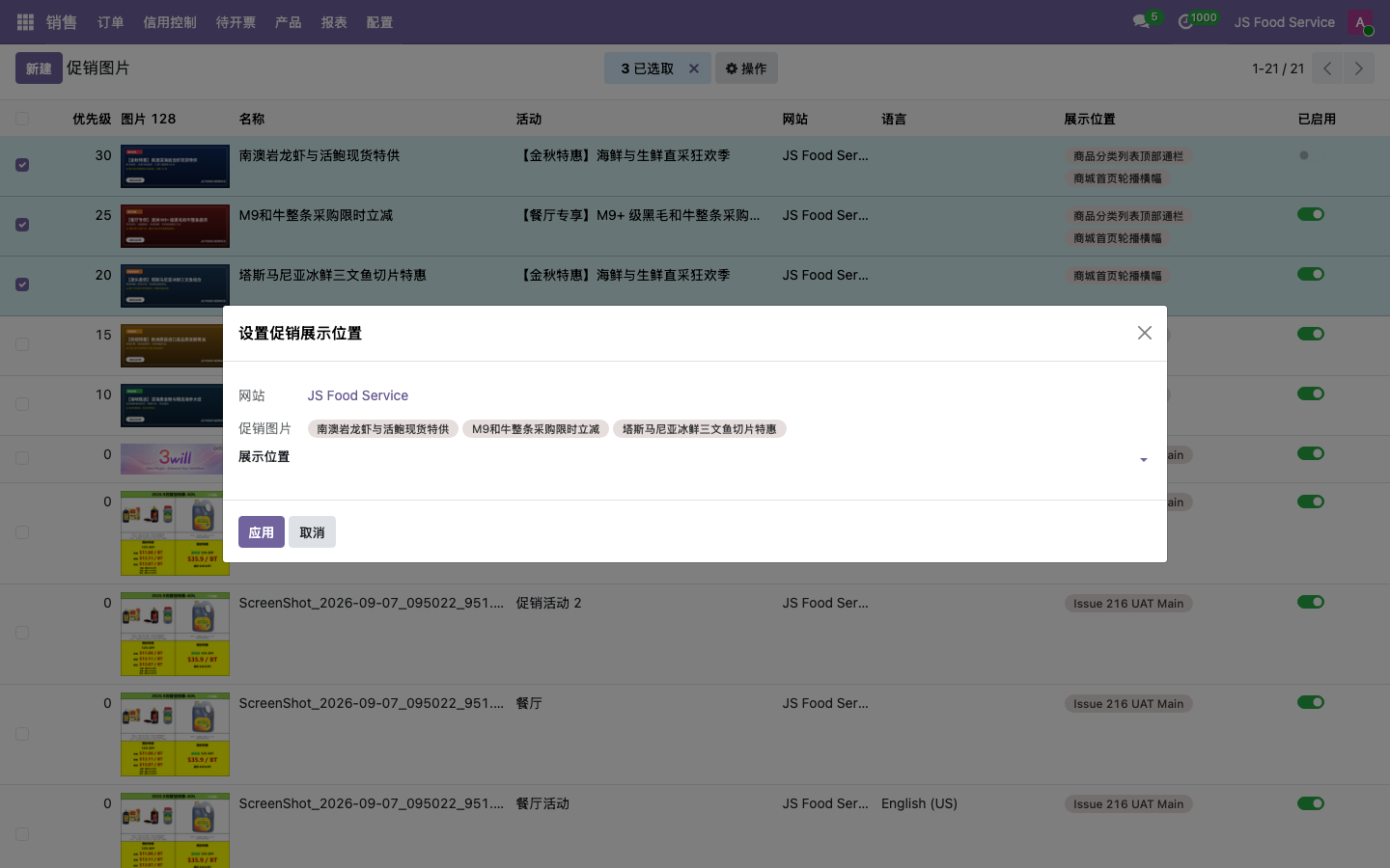 批量设置促销展示位置向导