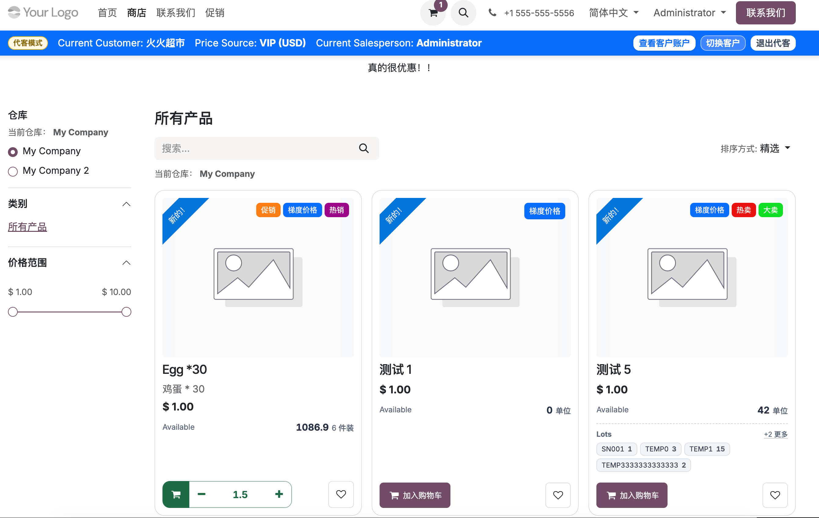 小数输入示例